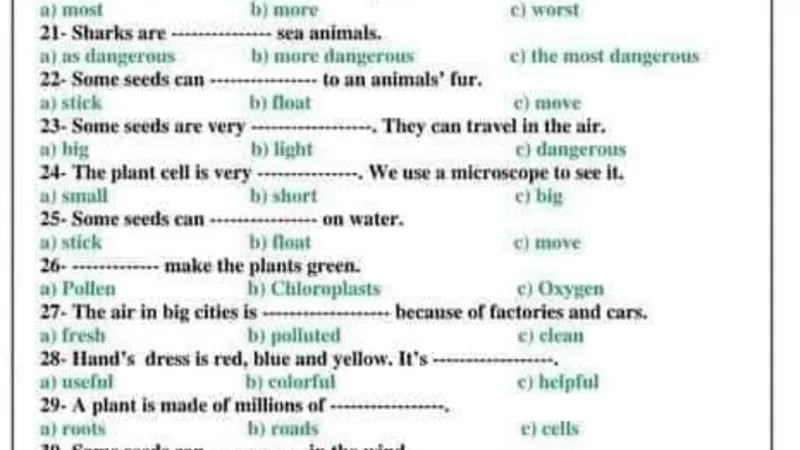 200 سؤال فى اللغة الانجليزية للصف الرابع الابتدائي
