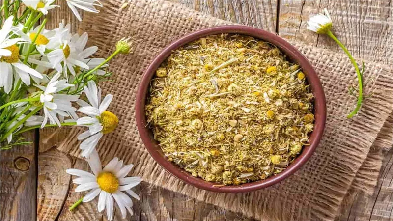 7 فوائد لشرب البابونج في الشتاء