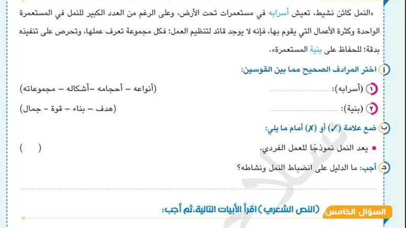 بالاجابات تحميل نماذج استرشادية للصف الرابع الابتدائي