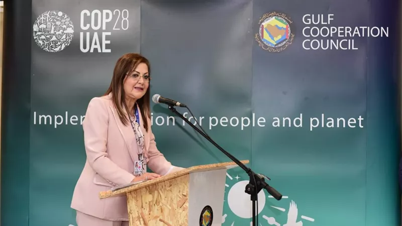 السعيد:أفريقيا تعاني من التأثيرات السلبية الخطيرة الناجمة عن تغير المناخ