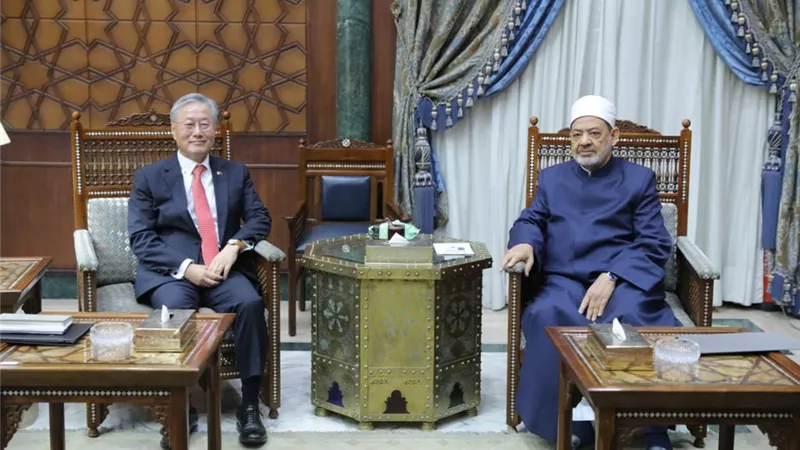 الإمام الأكبر: مناهج الأزهر قادرة على مواجهة التطرف