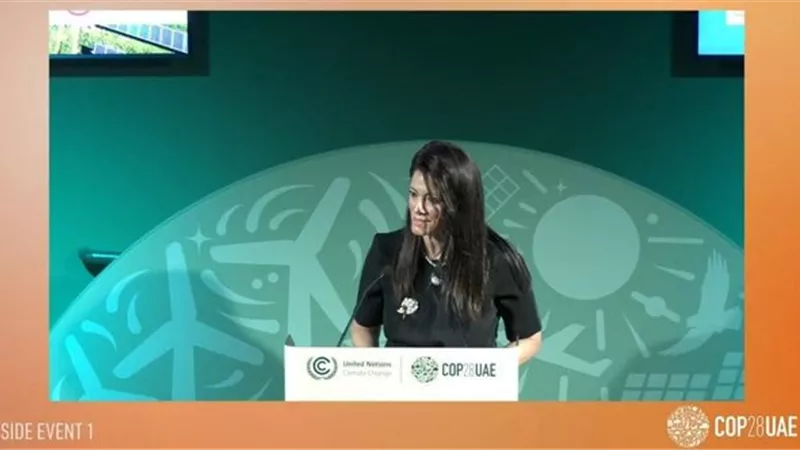 المشاط:التزام الدولة بدعم العمل المناخي عوامل أساسيةفي نجاح نُوَفِّـ