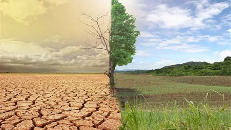 سوء التغذية والإجهاد الحرارى.. ابرزظواهر التطرف المناخي