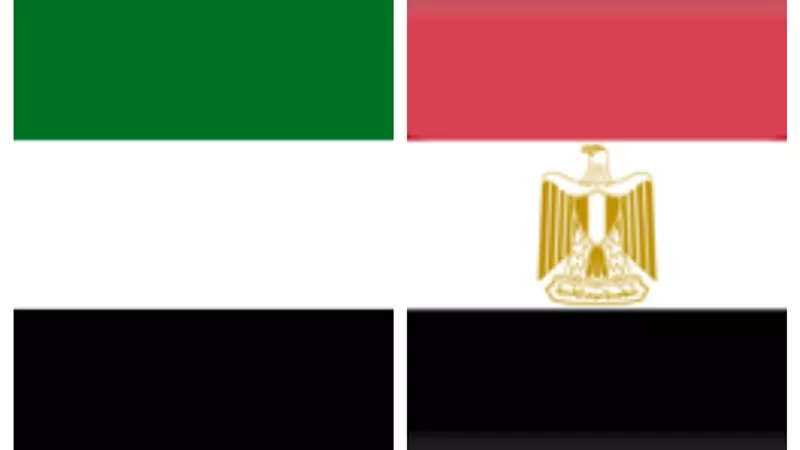 المهيرى: مشاركة السيسى بن زايد احتفالات الامارت..رسالة اخوة