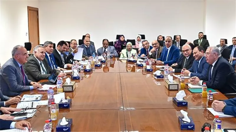 الزراعة: بدء إجراءات استصدار قرار تحديد مساحات الأرز لموسم 2024
