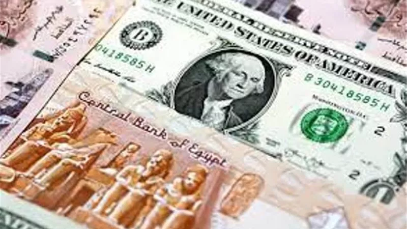 استقرار أسعار الدولار وتراجع 