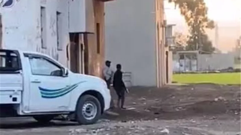 أبالسة الصنف فى عشة 