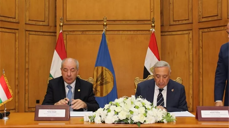 بروتوكول تعاون قضائي بين المحكمة الدستورية ونظيرتها المجرية