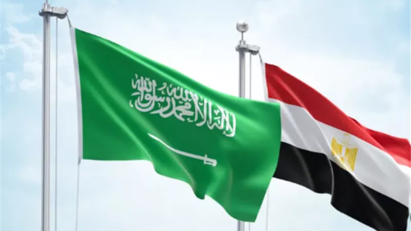 13.6 مليار دولار.. حجم التبادل التجاري بين مصر والسعودية