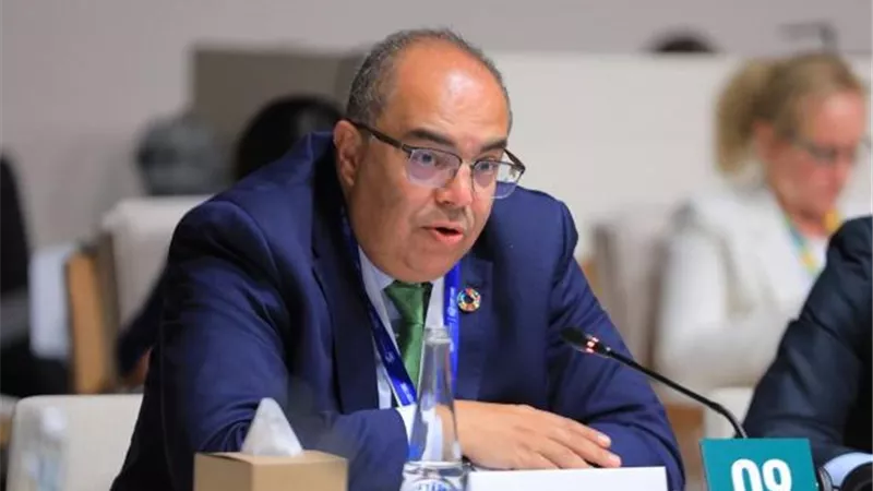 محيي الدين: مقايضة الديون بالعمل المناخي آلية هامة للدول النامية