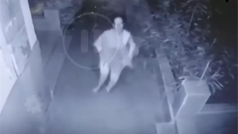 كشف حقيقة ظهور سيدة تتعدى على الأطفال بالشيخ زايد