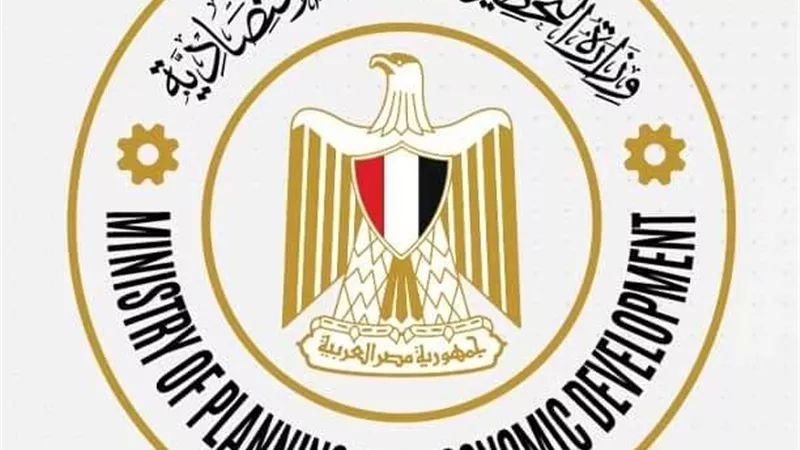 التخطيط: 100.7 مليار جنيه استثمارات لقطاع الصناعات التحويليّة