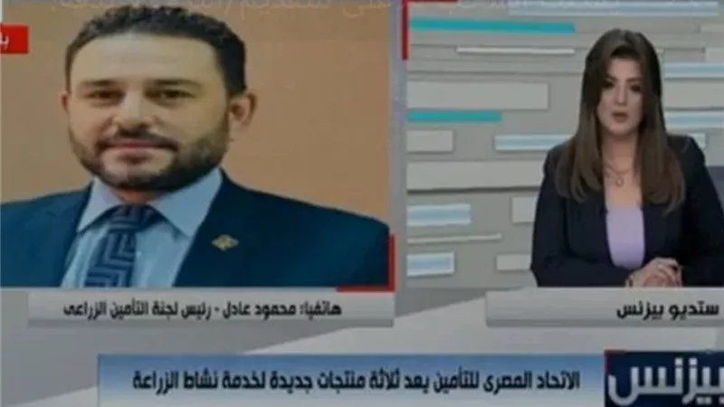 محمود عادل: 