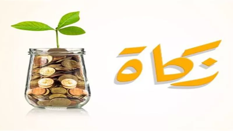 حكم زكاة المستغلات