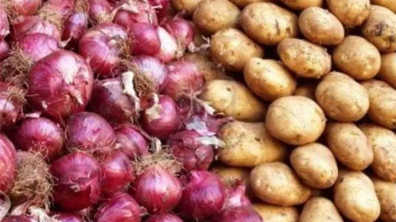 وزير الزراعة يكشف موعد انخفاض أسعار البصل والبطاطس