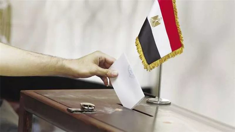 أعضاء تنسيقية شباب الأحزاب يدلون بأصواتهم في الانتخابات الرئاسية