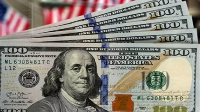 استقرار أسعار صرف الدولار مقابل الجنيه المصري