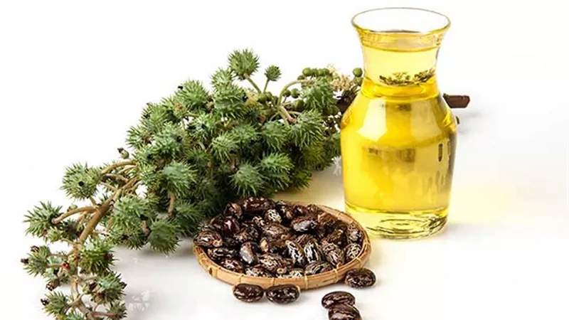 أبرز فوائد زيت الخروع للشعر .. علاج التهابات فروة الرأس